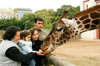 visita ao jardim zoológico Buenos Aires