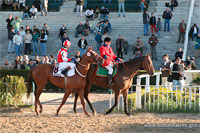 Hipodromo Palermo e corridas de cavalos